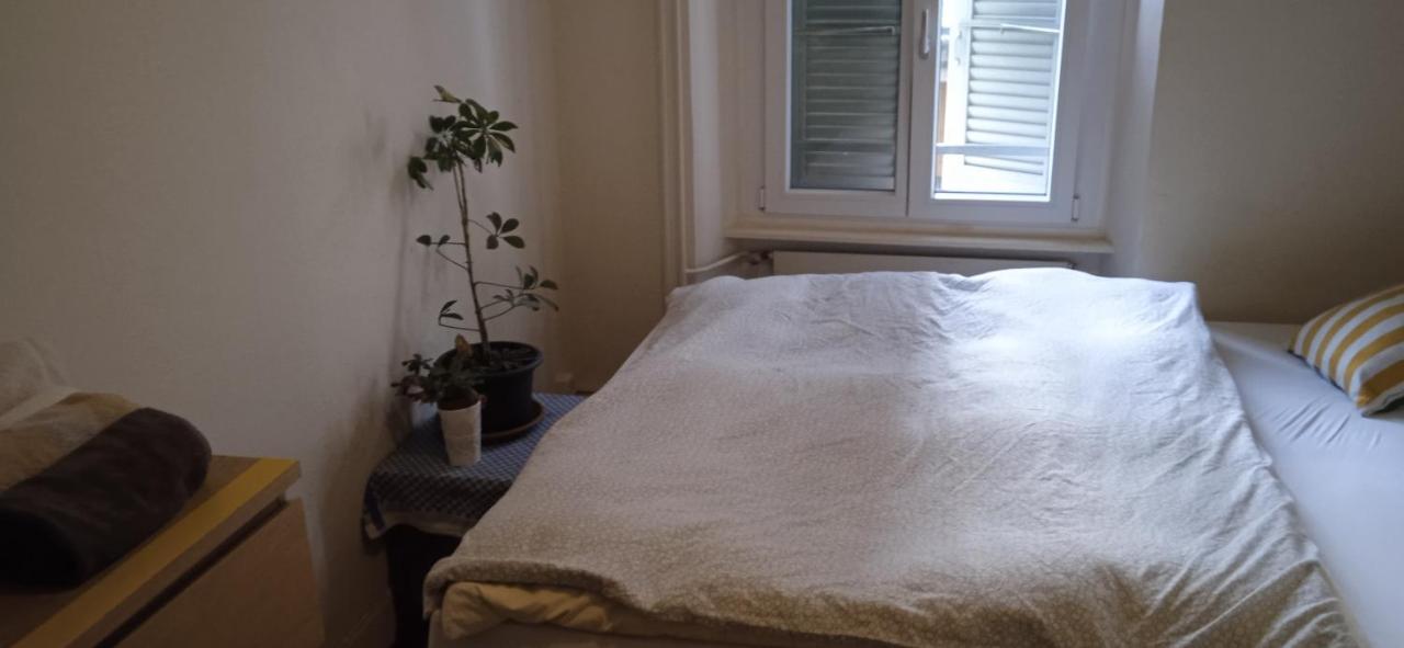 Chambre Double Last Minute Payerne Eksteriør bilde